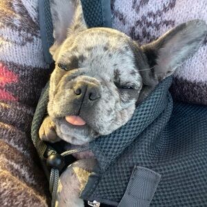 Meet your Posher, Francesca